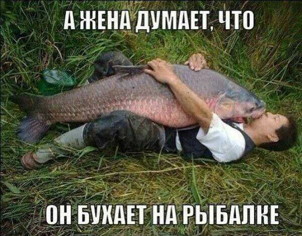 ЖЕНАддпгдьюд
