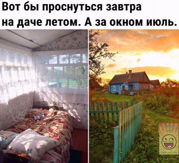 Вот бы проснуться завтра на даче лотом А за окном июль __