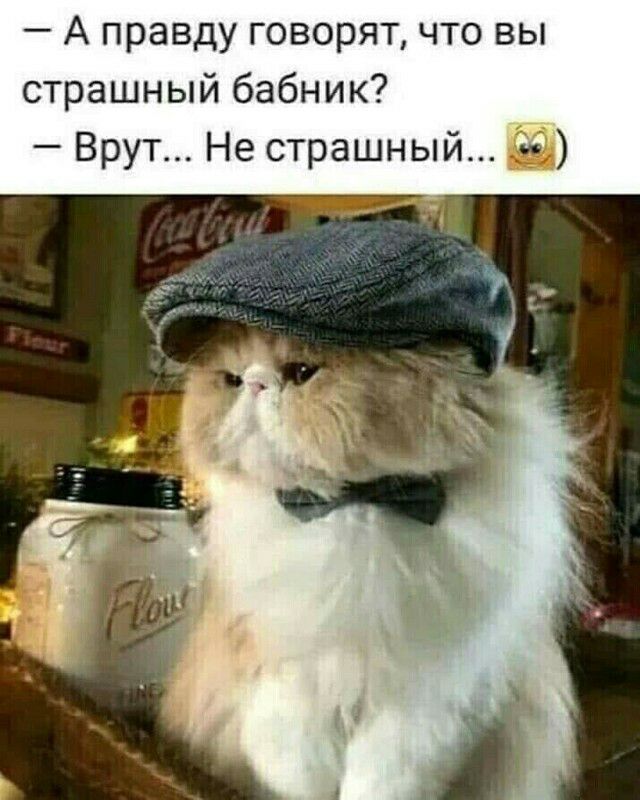 А правду говорят что вы страшный бабник Врут Не страшный