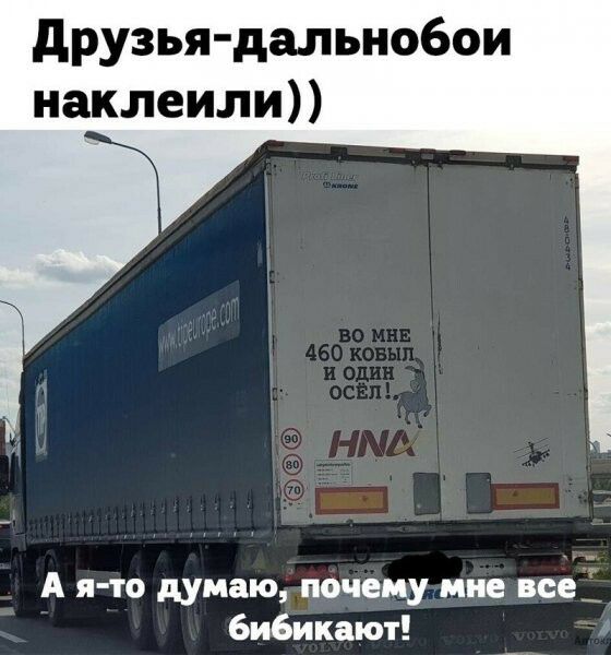 друзья дальнобои наклеили А я то думаю почему мне все бибикают