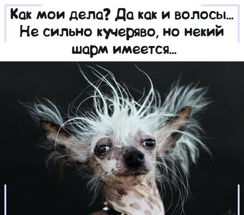 Как мои дело да как и волосы Не сильно кучеряво но некий шарм имеется