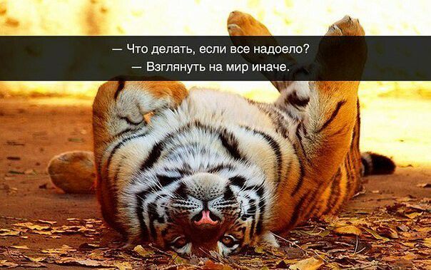 _ Что делать если все надоело _ Взглянуть на мир иначе _