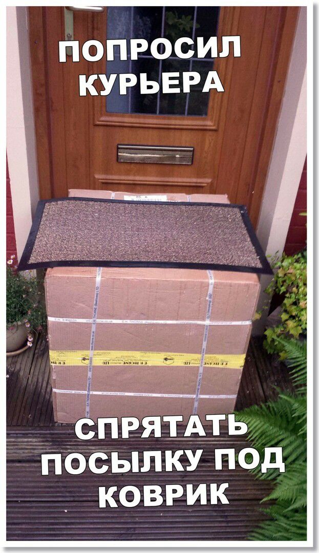 ПОПРОСИЛ КУРЬЕРА снизят тг Пбёылку под коврик