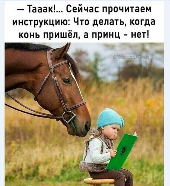 Тааак Сейчас прочитаем инструкцию Что делать когда конь пришёл а принц нет