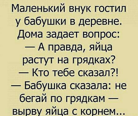 Маленький внук гостил у бабушки в деревне Дома задает вопрос А правда яйца растут на грядках Кто тебе сказал Бабушка сказала не бегай по грядкам вырву яйца с корнем