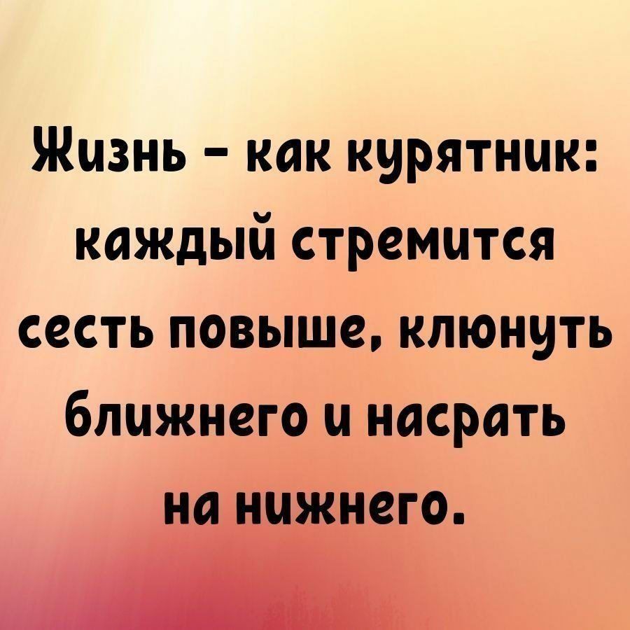 Жизнь как курятник каждый стремится сесть повыше клюнить ближнего и насрать него