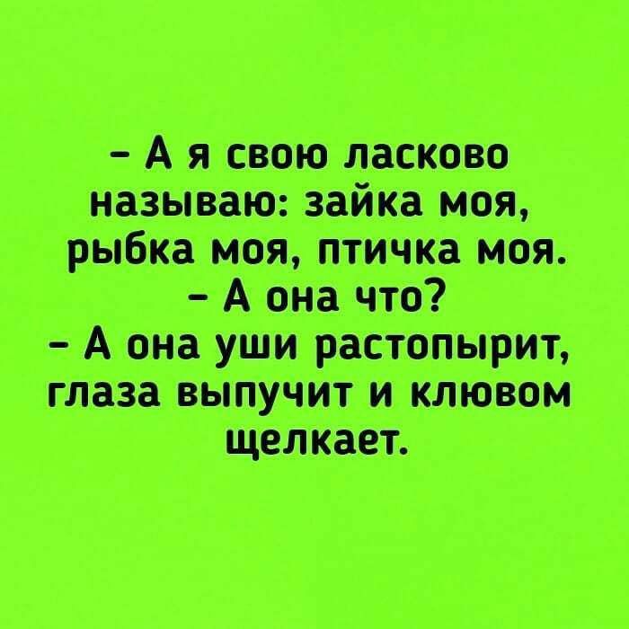 Аят Мишпатим Атт вдшшрктнрпт магнита