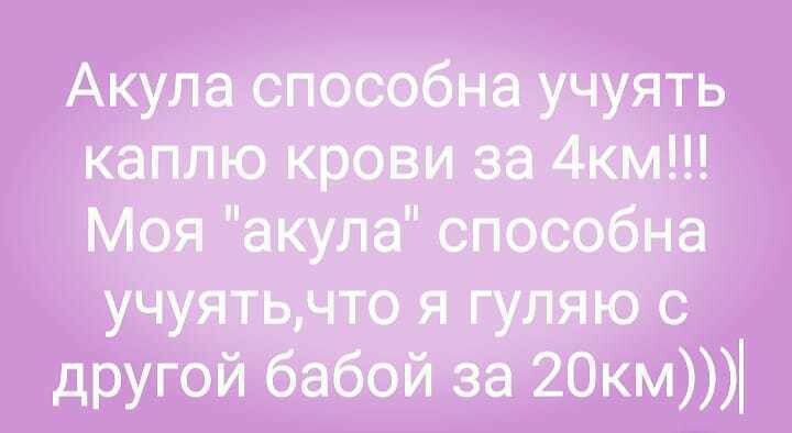 Акула спосэгбна учуять капщшю к ви заідкім мъя тчакулаі спэеобна учутьдчта я ГУПЯЁЮ с другой баібой за 20км