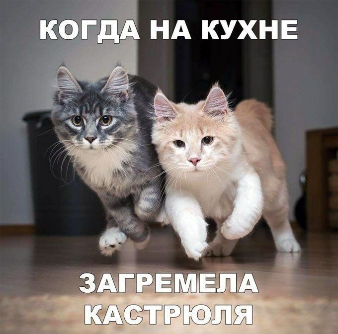 ОЁПЁ НА КУХНЕ