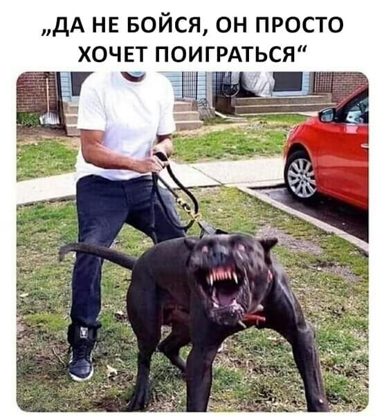 дА НЕ БОЙСЯ ОН ПРОСТО ХОЧЕТ ПОИГРАТЬСЯ