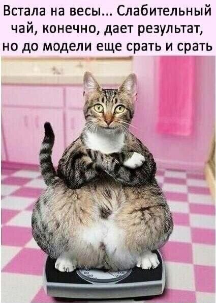 Встала на весы Слабительный чай конечно дает результат но до модели еще срать и срать __