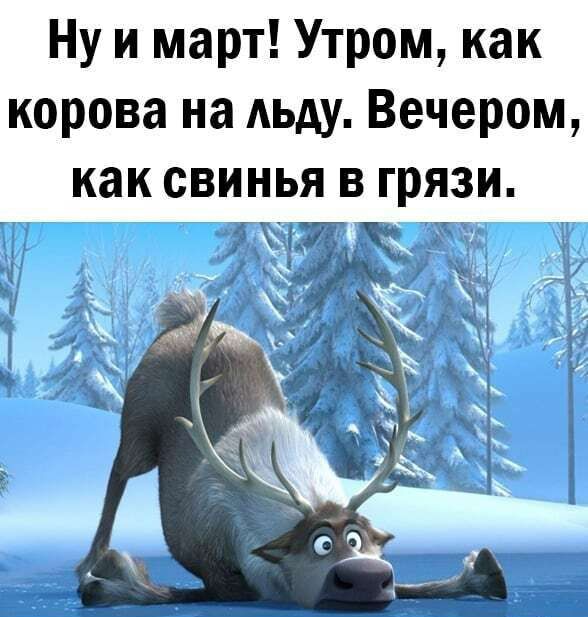 Ну и март Утром как корова на льду Вечером как СВИНЬЯ В ГРЯЗИ худ