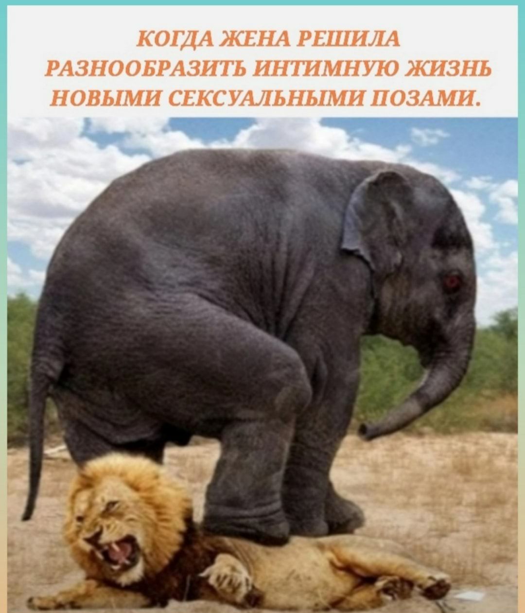 КОГДА ЖЕНА РЕШИЛА РАЗНООБРАЗИТЬ ИН ТИМН УЮ ЖИЗНЬ НОВЫМИ СЕКС УАЛЬНЬ1МИ П ОЗАМИ