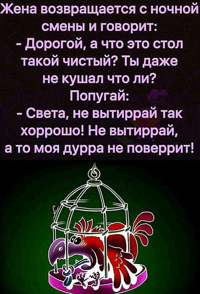 Жена возвращается с ночной смены и говорит Дорогой а что это стол такой чистый Ты даже не кушал что ли Попугай Света не вытиррай так хоррошо Не вытиррай а то моя дурра не поверрит