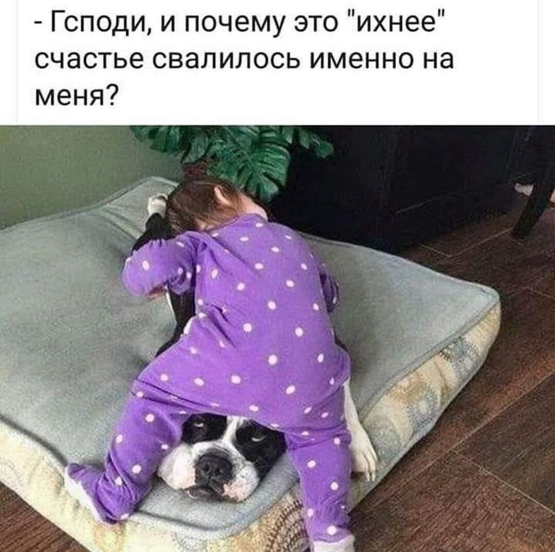 Гсподи и почему это ихнее счастье свалилось именно на меня