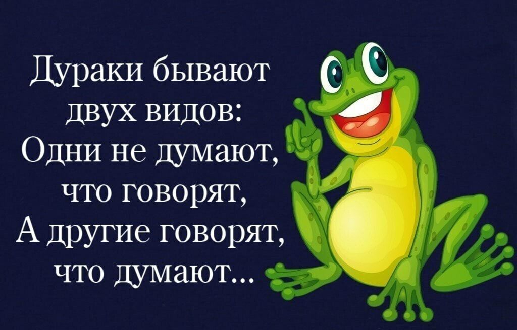 Дураки бывают двух видов что говорят А другие говорят что думают