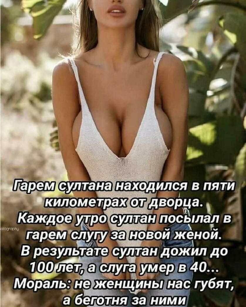 Каждоёгудро султан посылал в гаремсдёідёу за новой женой В результате султан дожил до сш 100 лет сЛуга хмер 40 Мораль не женщйны нас губят а бегрті ія за Ними П