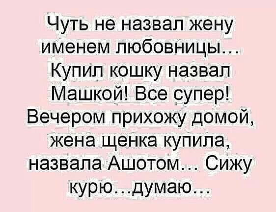 Чуть не назвал жену именем любовницы Купил кошку назвал Машкой Все супер Вечером прихожу домой жена щенка купила назвала Аш0том Сижу курю думаю