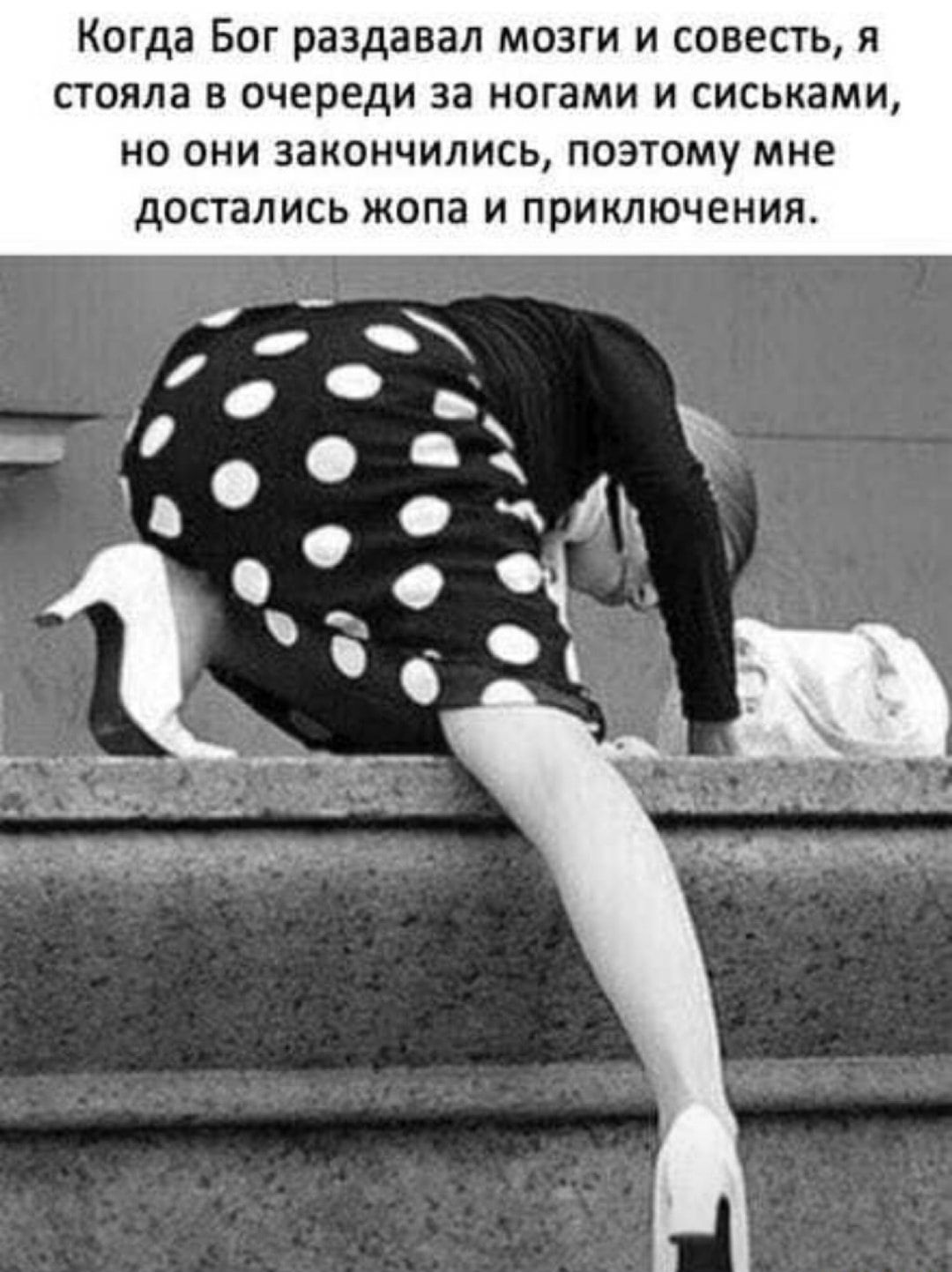Когда Бог раздавал мозги и совесть я стояла в очереди за ногами и сиськами но они закончились поэтому мне достались жопа и приключения