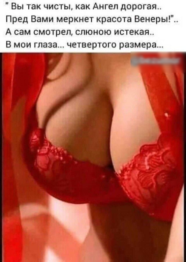 Вы так чисты как Ангел дорогая Пред Вами меркнет красота Венеры А сам смотрел слюною истекая В мои глаза четвертого размера