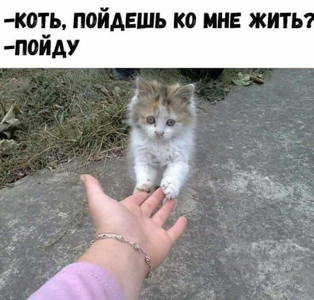К0Ь П0ЙАЕШЬ КО МНЕ ЖИТЬ П0ИАУ