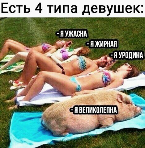 Есть 4 типа девушек П ЖИРНАЯ