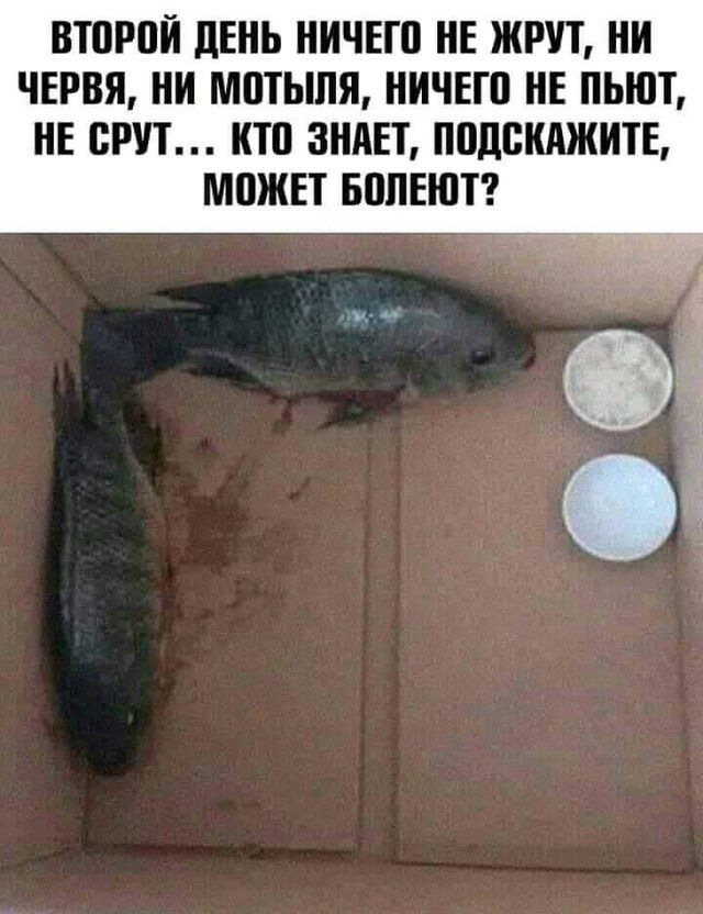 ВШРОЙ ЛЕНЬ НИЧЕШ НЕ ЖРУТ НИ ЧЕРВЯ НИ МПТЫПЯ НИЧЕШ НЕ ПЬЮТ НЕ СРП КТП ЗНАЕТ ПППВКАЖИТЕ МПЖЕТ БППЕЮТ
