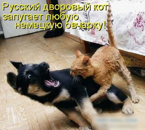 Русски в 003 5121 ог з1пуг1г л Юг у о немэш Ю озёркуь