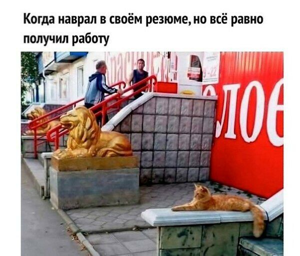 Когда наврал в своём резюме но всё равно получил работу