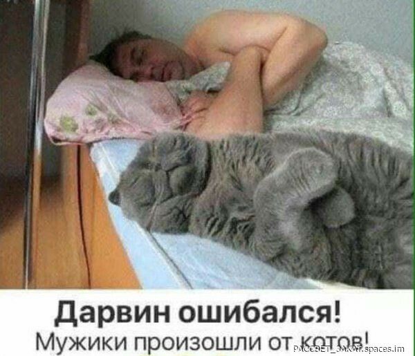 дарвин ошибался Мужики произошли о