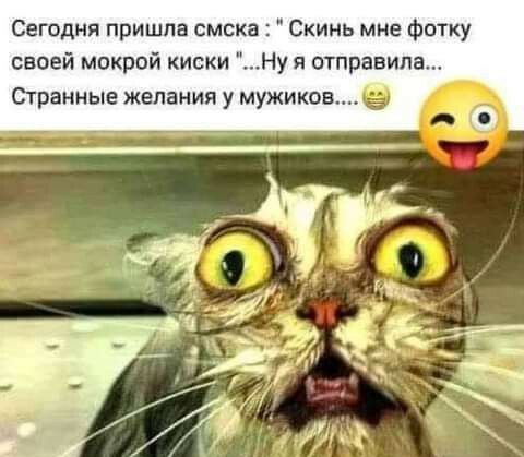 Сегодня пришла смска Скинь мне фотку своей мокрой киски Ну я отправила Странные желания у мужиковч
