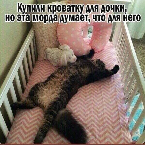 Купьйи кроізатку дАЯ дочки НО этаморда думает ЧТО МЯ НЕГО