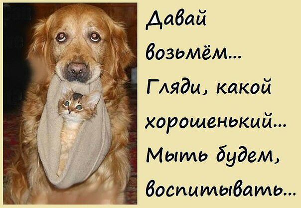 Аабай хорошенький М ЫИш будем босицтыбать