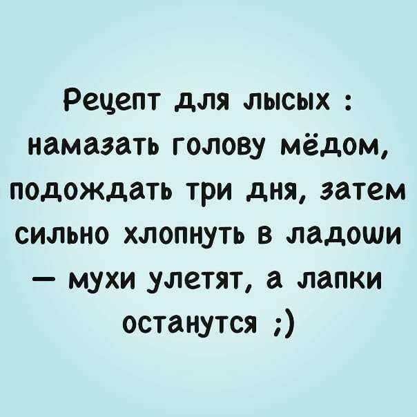 Рецепт для лысых намазать голову мёдом подождать три дня затем сильно хлопнуть в ладоши мухи улетят а лапки останутся