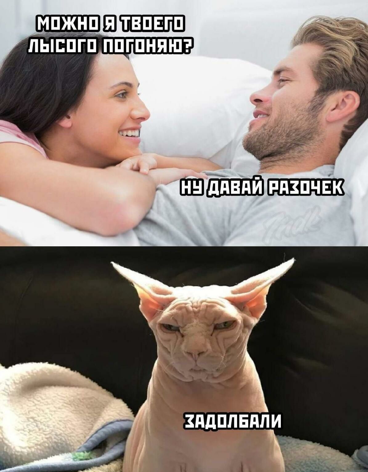 МПЖНЦШ ТВПЕГП ПЫЕПГП ППГПНПШ