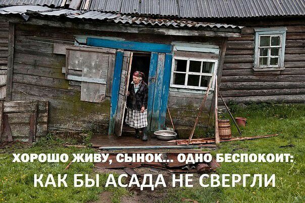 кивіісыиеш дд затопит КАК шут сверим _