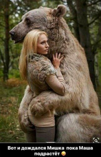 Вени Миши поп Мдш в