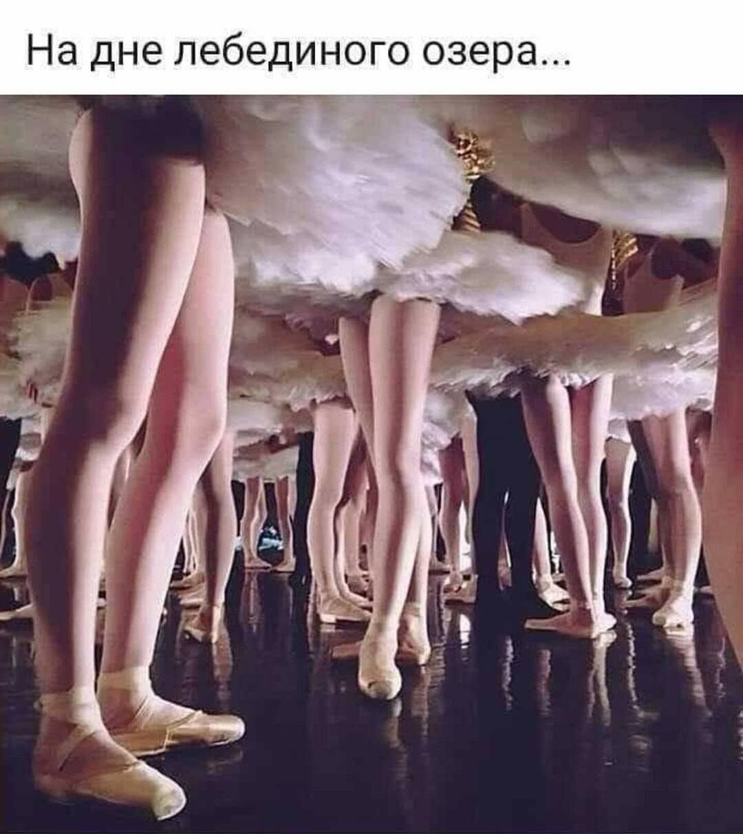 На дне лебединого озера