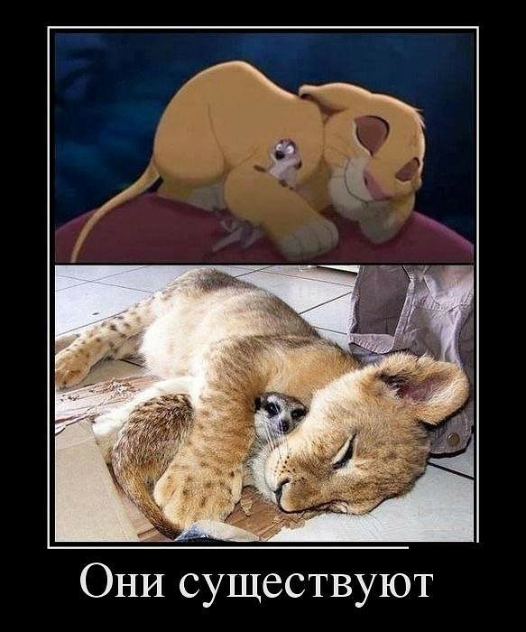 ОНИ существуют