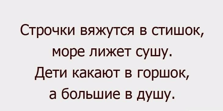 Строчки вяжутся в стишок море лижет сушу Дети какают в горшок а большие в душу
