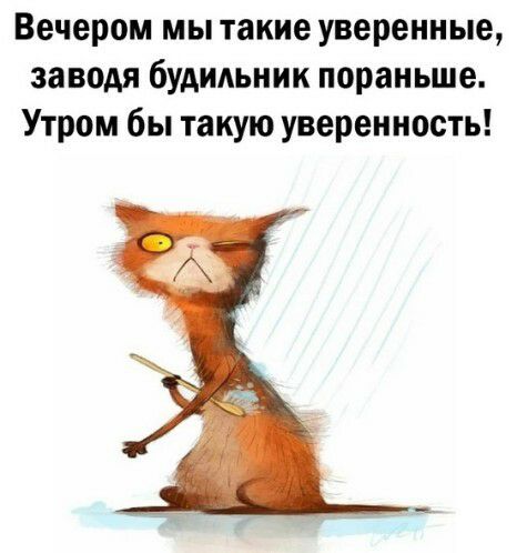 Вечером мы такие уверенные заводя будильник пораньше Утром бы такую уверенность