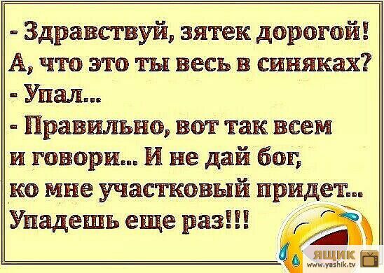 здравствуй, зятек дорогой! А, что это ты весь в синяках?  Упал...  Правильно, вот так всем и говори... Й не дай бог, ко мне участковый придет.. Упадешь еще раз!!!