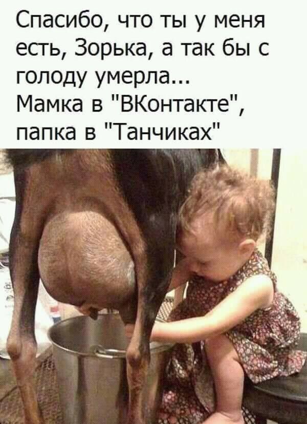 Спасибо что ты у меня есгь Зорька а так бы с голоду умерла Мамка в ВКонтакте папка в Танчиках