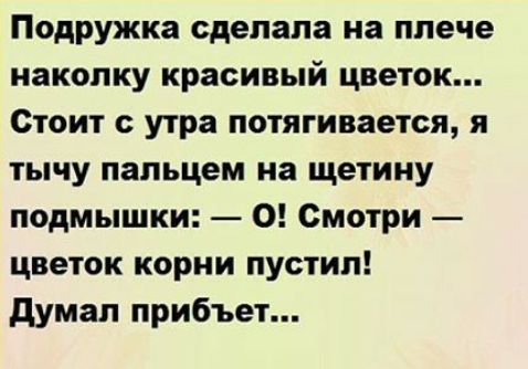 Подружка сделала на плече наколку красивый цветок Стоит утра потягивается я тычу пальцем на щетину подмышки 0 Смотри цветок корни пустип думал прибъет