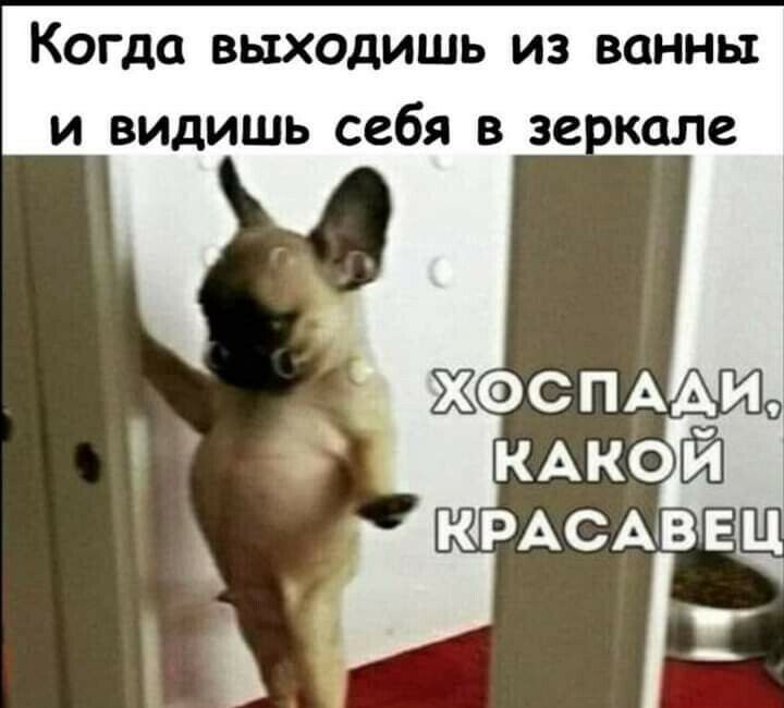 Когда выходишь из ванны и видишь себя в зе