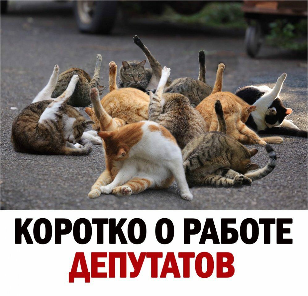 КОРОТКО О РАБОТЕ дЕПУТАТОВ