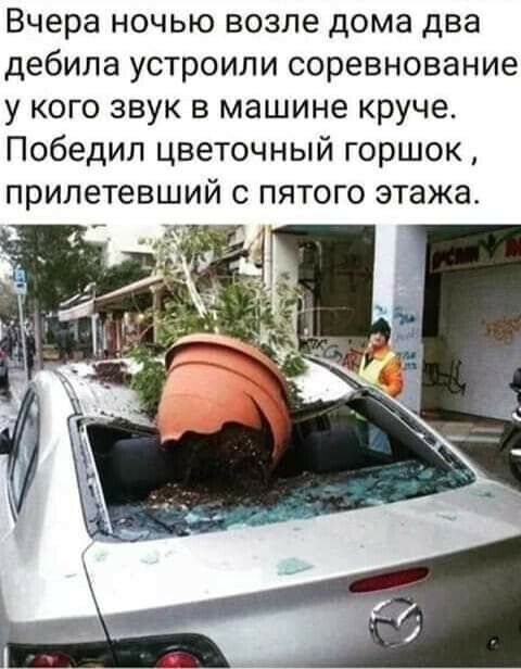 Вчера ночью возле дома два дебила устроили соревнование у кого звук в машине круче Победил цветочный горшок прилетевший с пятого этажа