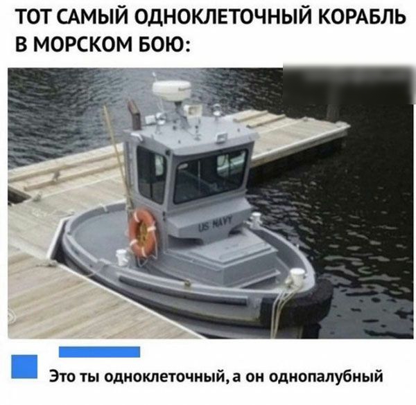 ТОТ САМЫЙ ОДНОКЛЕТОЧНЫЙ КОРАБЛЬ В МОРСКОМ БОЮ Это ты одноклеточиый а он однопалубиый