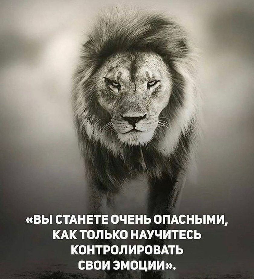 ВЫ СТАНЕТЕ ОЧЕНЬ ОПАСНЫМИ КАК ТОЛЬКО НАУЧИТЕСЬ КОНТРОЛИРОВАТЬ СВОИ ЭМОЦИИ
