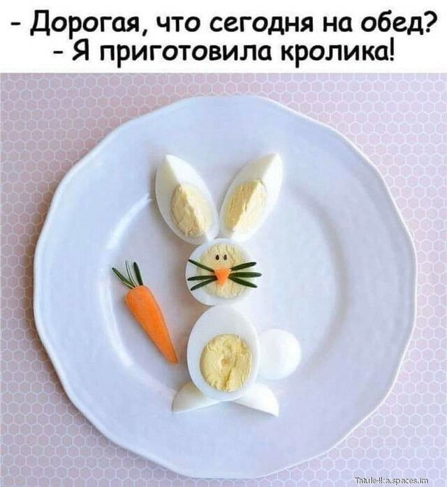 Дорогая что сегодня на обед Я приготовила кролика